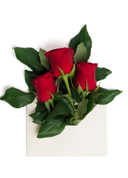 Bouquet di rose rosse in busta isolata
 - Foto, immagini