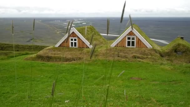 Sel, the traditional turf-roofed farmhouse, Skaftafell, Southern Iceland. - Footage, Video