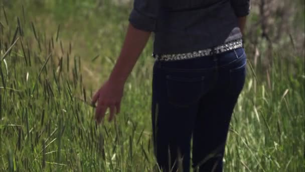 背の高い草の中を歩く女性のスローモーションショット. - 映像、動画