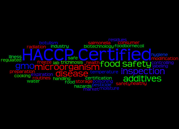 Сертификацию HACCP, слово облако концепции 4 - Фото, изображение