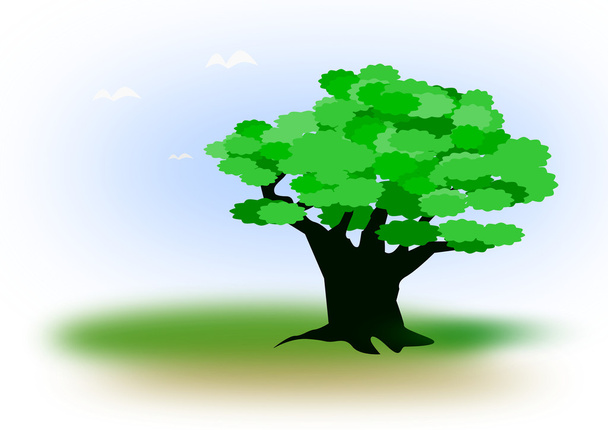 eenzame groene boom - Foto, afbeelding