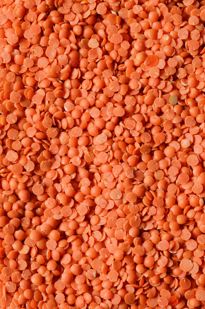 lentilhas vermelhas secas
 - Foto, Imagem