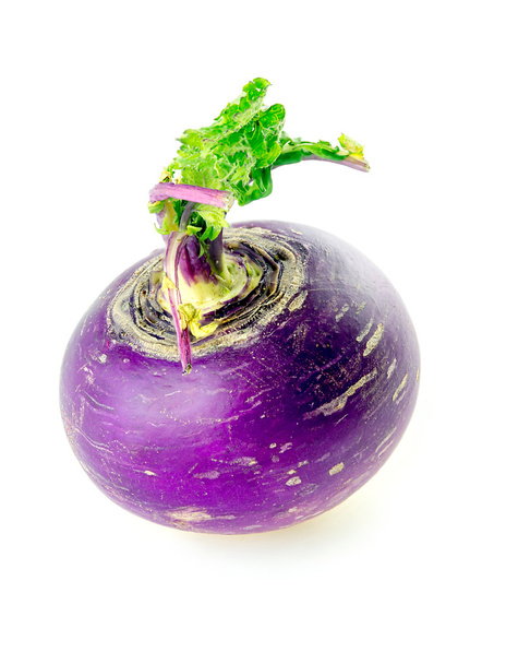Round small raw turnip veggie - Photo, Image