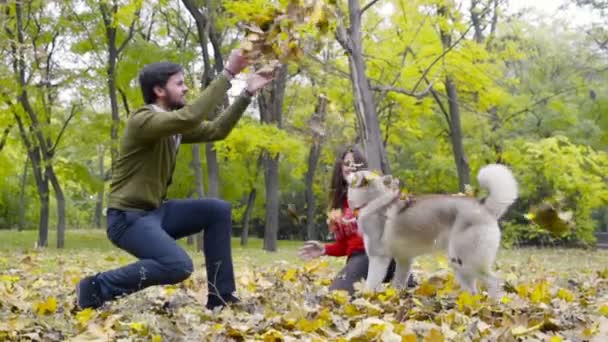 jovem casal brincando com um cão husky no parque de outono câmera lenta
 - Filmagem, Vídeo