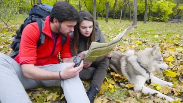 ζευγάρι-πεζοπόρους και ένας μεγαλόσωμος σκύλος στο φθινόπωρο δάσος χρησιμοποιώντας ένα χάρτη χαρτί - Πλάνα, βίντεο