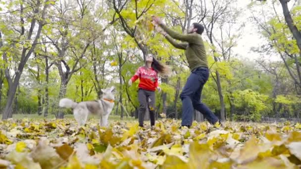 Genç çift ile sonbahar park yavaş çekimde bir husky köpek oynama - Video, Çekim