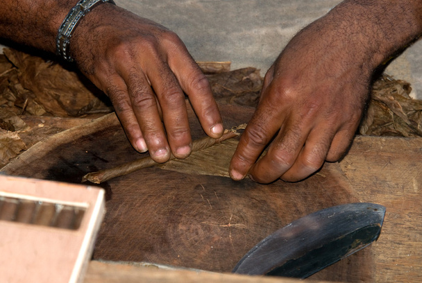 Manufacture of cigars at the tobacco factory in the Dominican Republic - Photo, Image