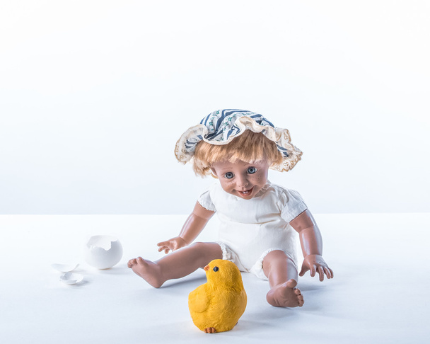 The birth of chicken - Fotografie, Obrázek