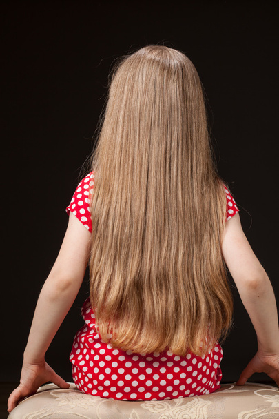 little girl with beautiful long hair - Photo, image