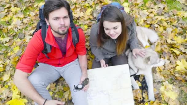 vue de dessus des randonneurs heureux regardant la caméra et un chien dans la forêt d'automne
 - Séquence, vidéo