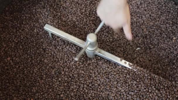 Robotnik ręka pozwól rozpocząć pracy proces mieszania smażone ziarna kawy w fabryce. - Materiał filmowy, wideo