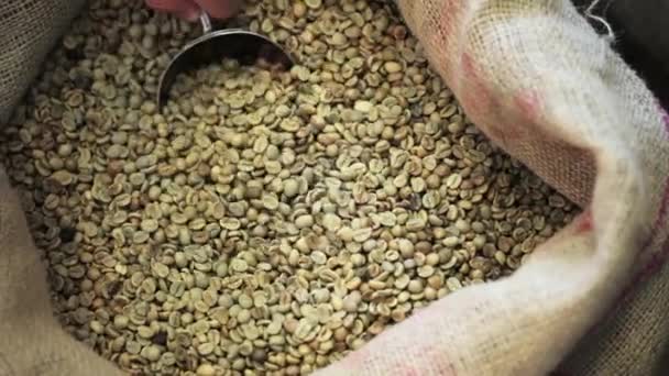 Hliník lopatka se ne smažené kávové zrna od pytel v továrně. Pan vodorovně - Záběry, video