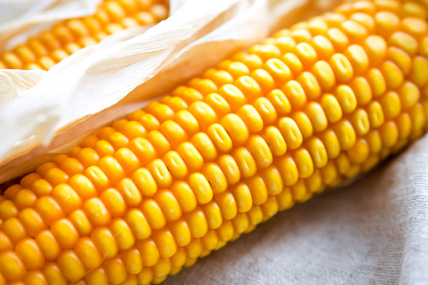 Сухая кукуруза
 - Фото, изображение