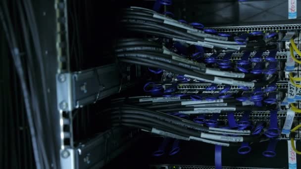 wires, lightbulbs and computer parts in render farm - Footage, Video