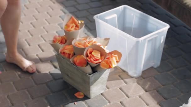 As mãos de mulher decoram o canteiro de flores de madeira por túbulos com pétalas cor-de-laranja. Verão
 - Filmagem, Vídeo