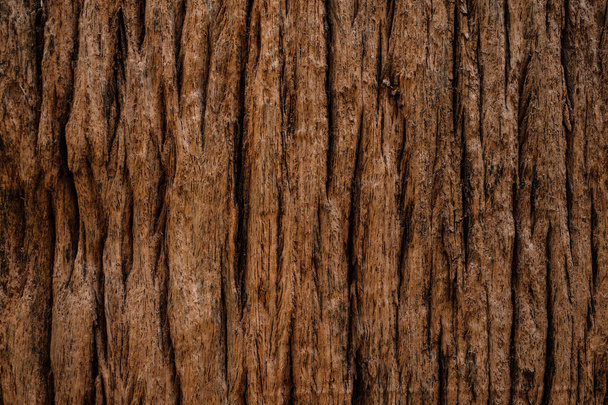Grungy cracked wood by closeup textured background - Photo, Image