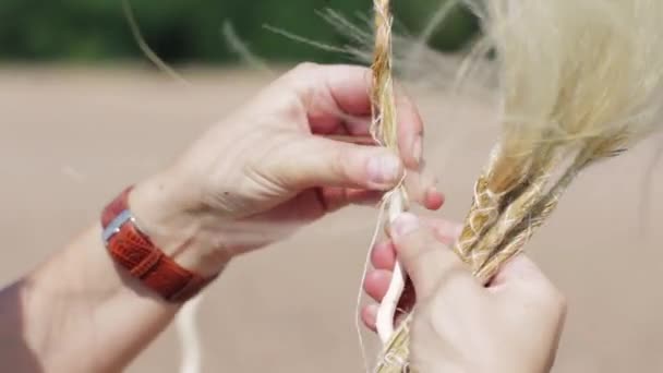 Жінки руки прикріплюють пшеничне вухо до білої палички на пляжі в літній вітряний день
. - Кадри, відео