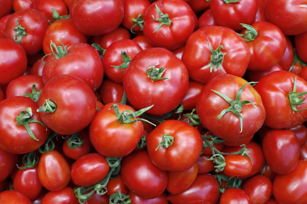 Багато соковитих стиглих червоних помідорів
 - Фото, зображення