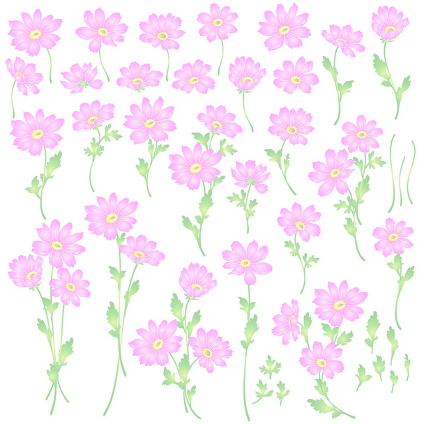 Flower illustration object - Vector, imagen