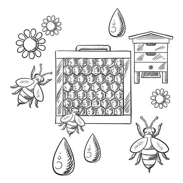 Beekeeping and apiary sketched objects - Vektor, kép