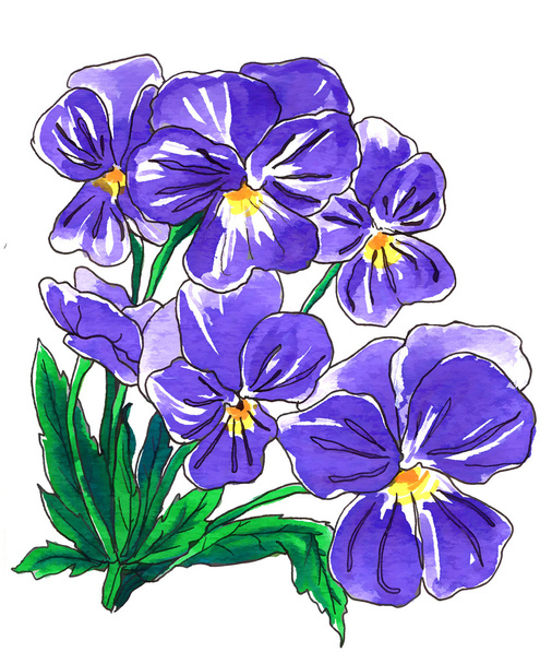 紫色のパンジーの花 - 写真・画像