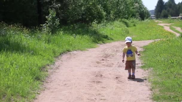 A kis fiú sétál erdei ösvényen a zöld gyep közepén a nyári napsütésben - Felvétel, videó
