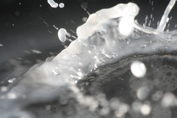 Macro image of milk drop splash - Фото, зображення
