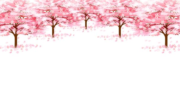Cherry kevät kukka tausta
 - Vektori, kuva