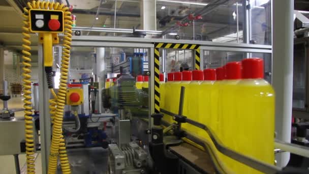 Liquid detergent on production line - Footage, Video