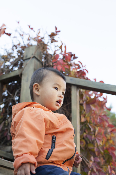 Щасливий китайський дитини хлопчик грає на Сходи на відкритому повітрі - Фото, зображення