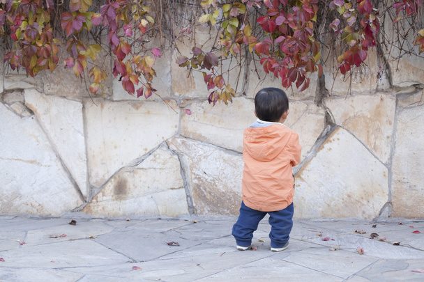 Feliz niño chino de pie frente a Boston Ivy
 - Foto, Imagen