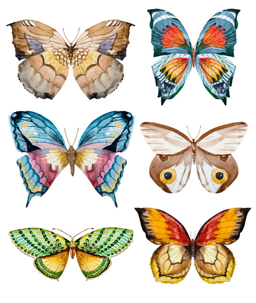 Watercolor vector butterflies - Vettoriali, immagini