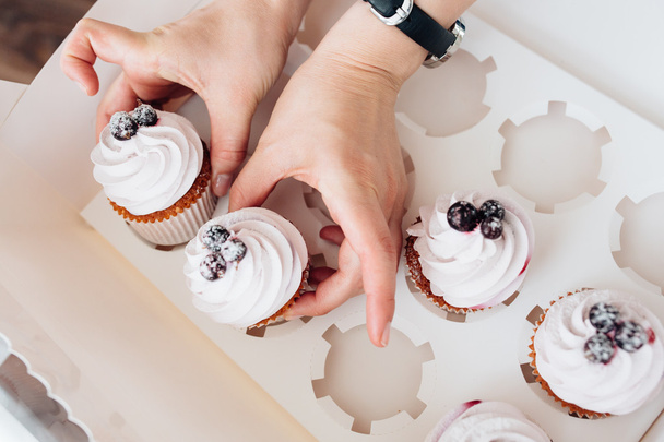 Hand hold cupcake with blackberry - 写真・画像