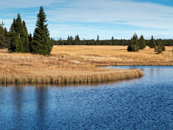 エルツ山地、チェコ共和国の死んだ池 - 写真・画像