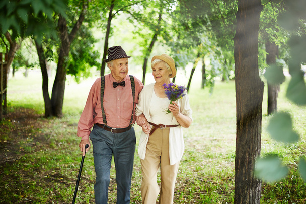 pareja de ancianos caminando en el parque
 - Foto, Imagen