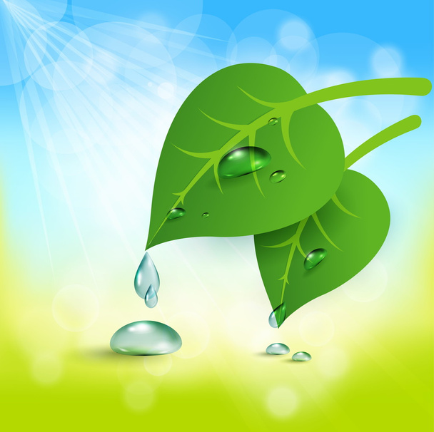 background with leaves and dew - Vector, Image