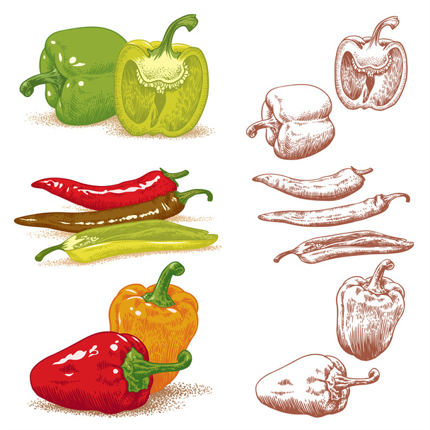 Peppers - Vector, Image