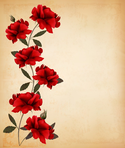 Red roses on old paper background. Vector. - Vector, Image