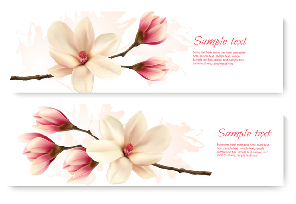 Two beautiful magnolia banners. Vector. - Vector, imagen