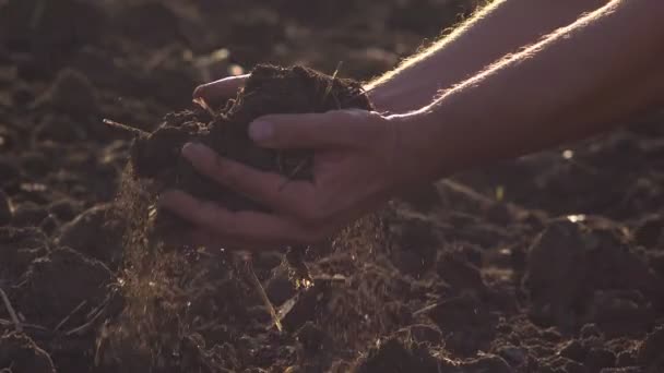 fertile earth of farmer will bear soon - Кадри, відео