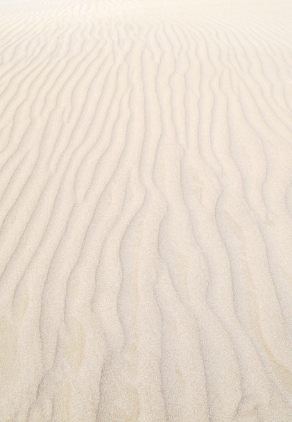 Pattern of sand - Foto, imagen