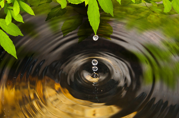 water Drona met verlof - Foto, afbeelding