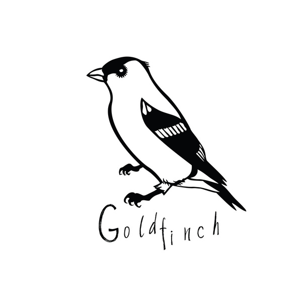 Birds collection Goldfinch Black and white vector - Vecteur, image