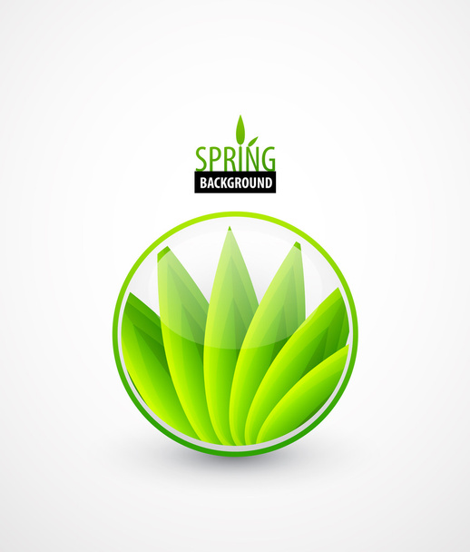 Green leaves spring concept - Vektör, Görsel