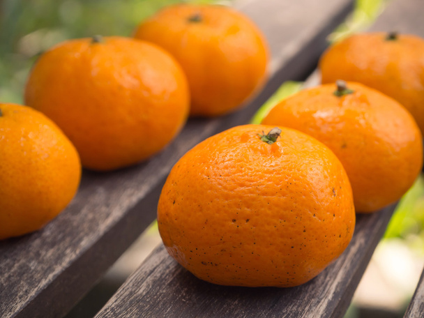 fresh orange fruit - Photo, Image