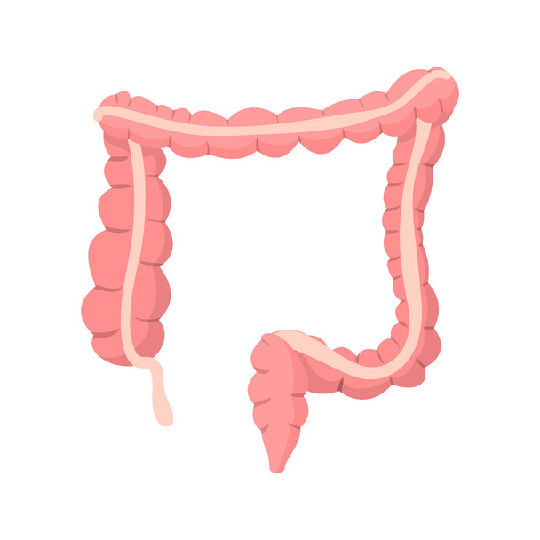 Human colon cartoon icon - Vektor, Bild