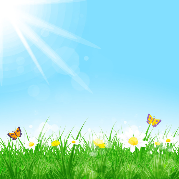 Green grass with flowers, spring landscape - Vector, Image
