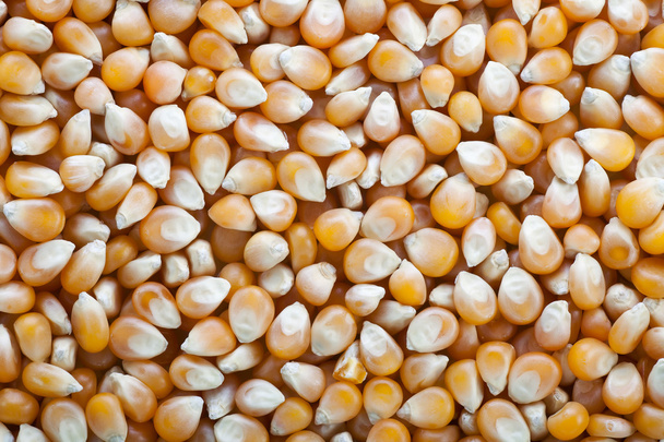 Noccioli di popcorn
 - Foto, immagini