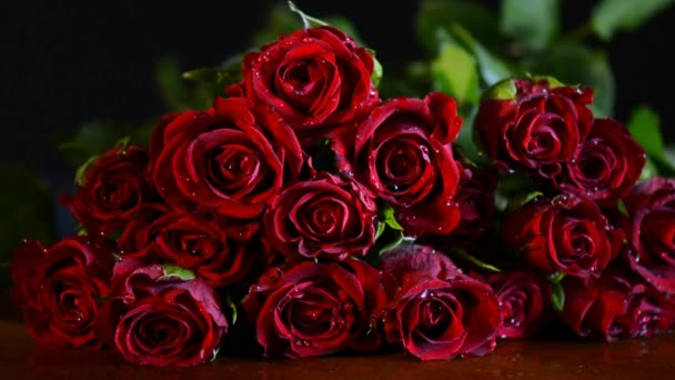 Closeup Valentine červené růže s kapkami vody. - Záběry, video