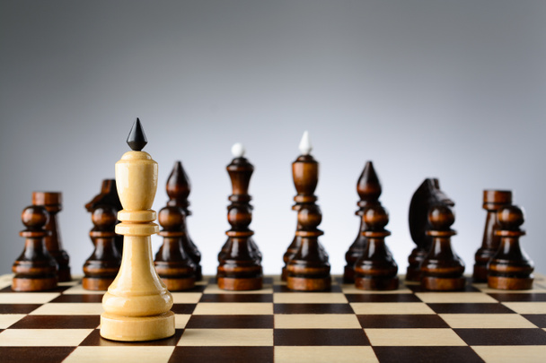 Белый король на фоне черных шахматных фигур
 - Фото, изображение